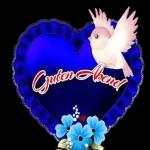 www MOIN! GIBT'S WAS NEUES? SAY