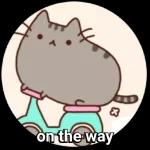 Pusheen