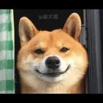 Qué se sentirá ser feo?