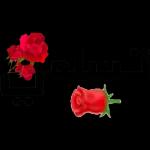 رومنسي
