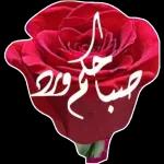 صباح الورد