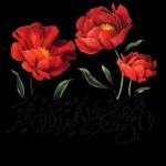 2w
الله
صباح
بكل خير