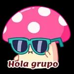 Hola grupo
