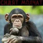 ппппппппппппппр