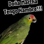 kilometro