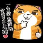 白爛貓11☆超級萌☆