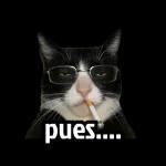 Meme de gato y perro