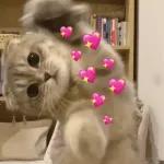 ¿La mujer de quien?