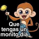 Mi 4to paquete