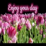 I want to give you all the force🤟