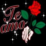 Te amo, eres mi todo.