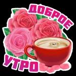 Доброе утро  ☀  ☀