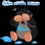 Maulwurf😍😍😍😍