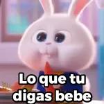 Que haces?