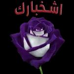 النوايا تلحسنه
