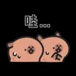 小水豚們的熱血應援