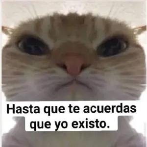 Hasta que te acuerdas que yo existo. - getsticker.com