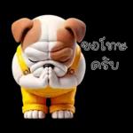 ขอโทษ ครับ