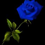 Люблю хороших людей!!!