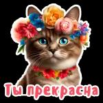 by jj