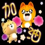 我的開心生活-吉咪咪