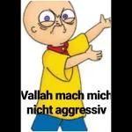 WILL DU STRESS?!