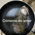 sexsexsexs