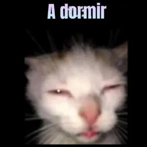 OFSRNh