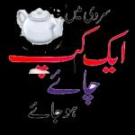 Hey Meri jan تمہارے بغیر کچھ اچھا نہیں لگتا۔