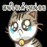 กับสิ่งเล็ก ๆ น้อย ๆ ที่เรามี🥰