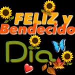 GRACIAS!