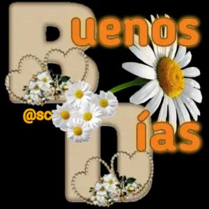 rizHce