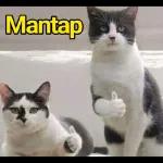 MINUMAN
TANPA
WAS-WAS
Detective Konon
ROXS
DIJAMIN MATI
CUBALAH HARI INI
Enjoy
CLOROX