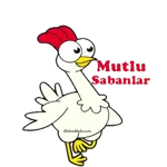 aynur