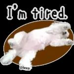 Hug me!🤗Enjoy your day!🥳