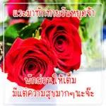 ดอกกุหลาบ🌹🌹