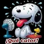 Pegatinas gratis