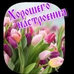 ДОБРОЕ УТРО