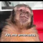 jajaja 