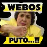 puedo opinar algo?