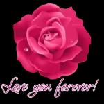 اردو سٹیکرز پیک