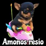 Debes pagarme el desayuno👮