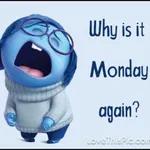 monday again！！