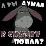 Новые 25