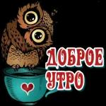 Доброе утро