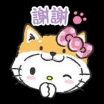 愛死你了，好開勳！！