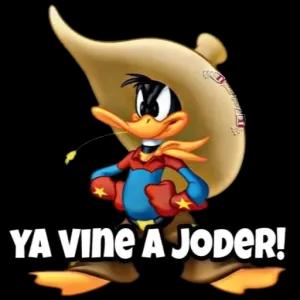 jX4l5F