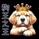 好黃金獵犬-微白目篇