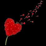 I love you.
