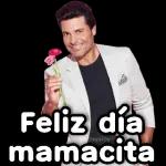 🌹Día de la madre ✨❣
